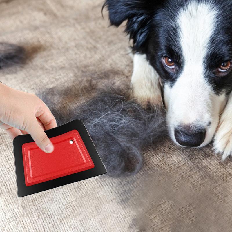 Pet Haarentferner Kamm Bürste  – Detailing Brush Set Bewertung und Preis