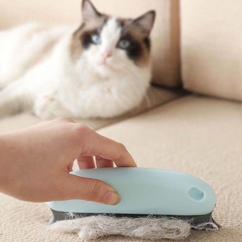 Tierhaar-Entfernungsbürste für – Detailing Brush Set Bewertung und Preis